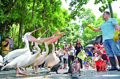 res01_attpic_brief res01_attpic_brief