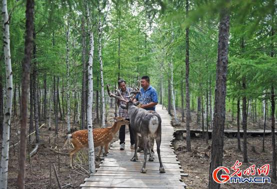 【邊疆黨旗紅】祖國最北紅坐標(biāo) 前哨人的奉獻(xiàn)與傳承 【邊疆黨旗紅】祖國最北紅坐標(biāo) 前哨人的奉獻(xiàn)與傳承