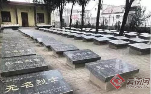 00300910508_86e7c7e0