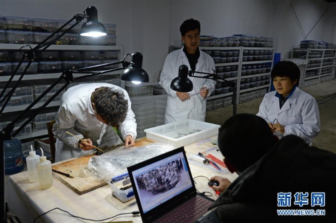 （紅土地“往事新說(shuō)”·圖文互動(dòng)）（5）仙人洞里說(shuō)豐年 海昏遺址看文化