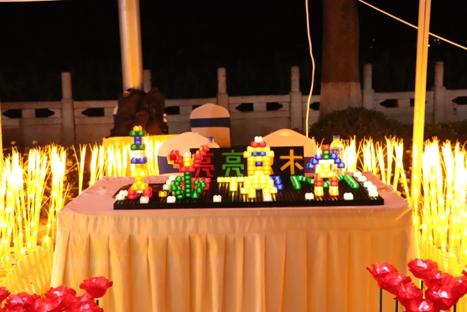 LED打光積木搭建的花田。