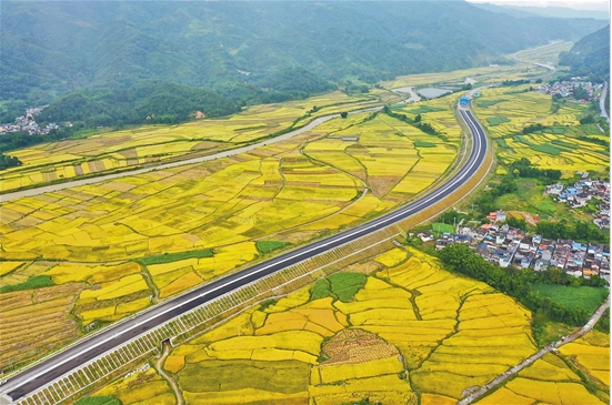 QQ截圖20190918080831 QQ截圖20190918080831