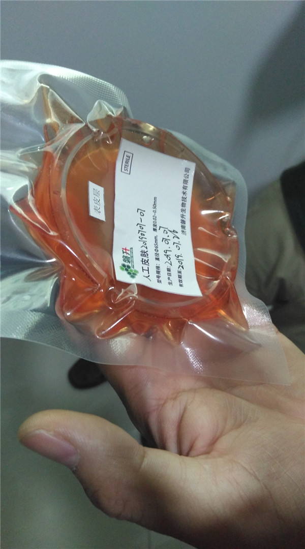 IMG_20190918_091702 IMG_20190918_091702