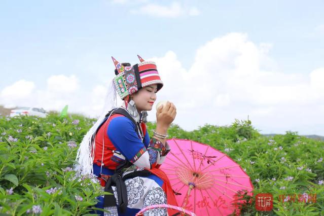 石林縣將舉辦2019年第二屆農(nóng)民豐收節(jié)