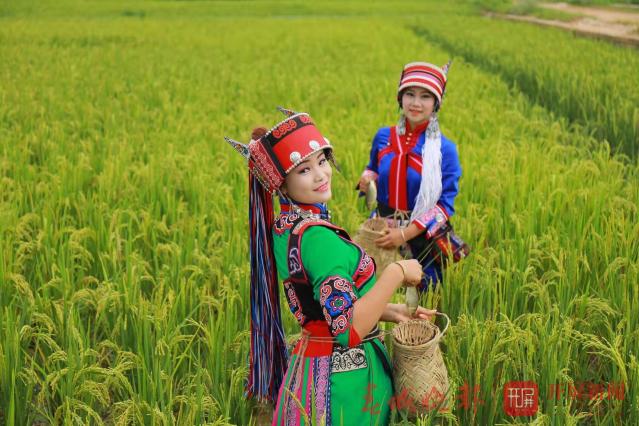 石林縣將舉辦2019年第二屆農(nóng)民豐收節(jié)