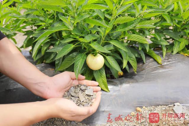 石林縣將舉辦2019年第二屆農(nóng)民豐收節(jié)