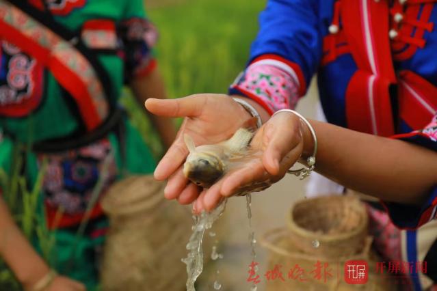 石林縣將舉辦2019年第二屆農(nóng)民豐收節(jié)