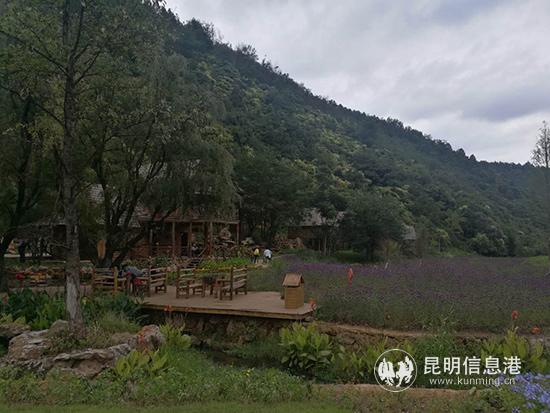 mmexport1569055730020