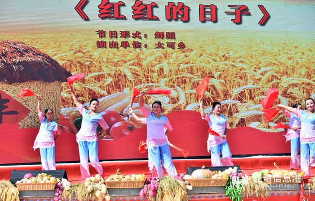 民族民間文藝展演_副本