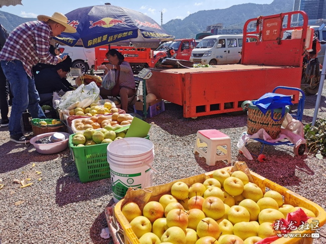 梨農(nóng)介紹，海東梨，黃梨，金花梨4元每公斤，寶珠梨每公斤按品相4--10元不等_副本