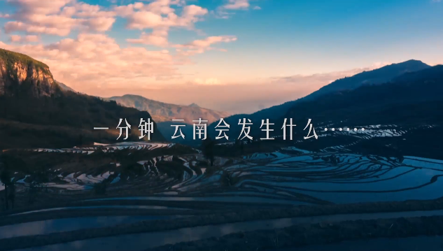 00300921786_f7fa33e5 00300921786_f7fa33e5