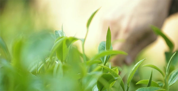 微信圖片_20190922205123 拷貝