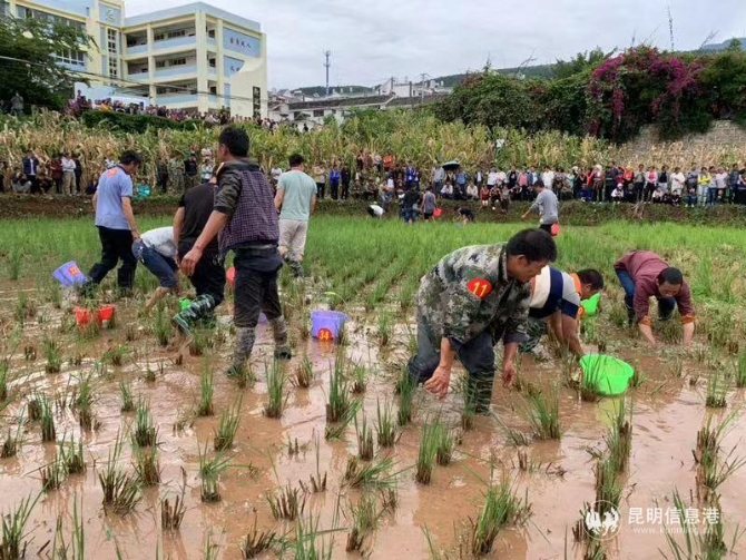 微信圖片_201909231105013 微信圖片_201909231105013