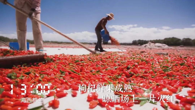 1569107518915834.png?x-oss-process=style/w10 2.png?x-oss-process=style/w10