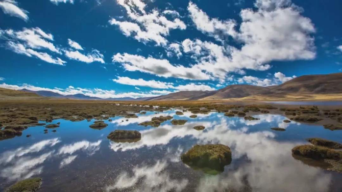 1569107565643492.png?x-oss-process=style/w10 7.png?x-oss-process=style/w10