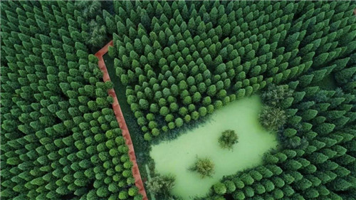 撈魚河濕地(資漁 攝) 撈魚河濕地(資漁 攝)