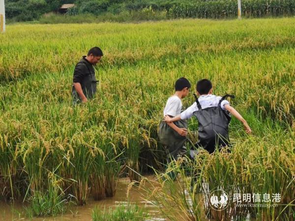 2 撈魚比賽樂趣多。