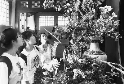 17710239176521003345 17710239176521003345