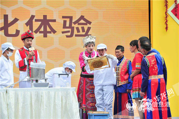 2ca33f99-eac0-472b-919c-3a2e3d64d213 2ca33f99-eac0-472b-919c-3a2e3d64d213