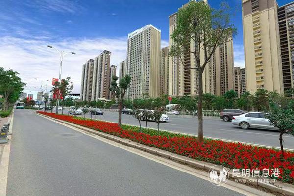 5d8a1f1c24d10 5d8a1f1c24d10