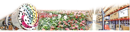 QQ截圖20190925081200