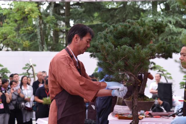 00300933527_589b35b9 00300933527_589b35b9