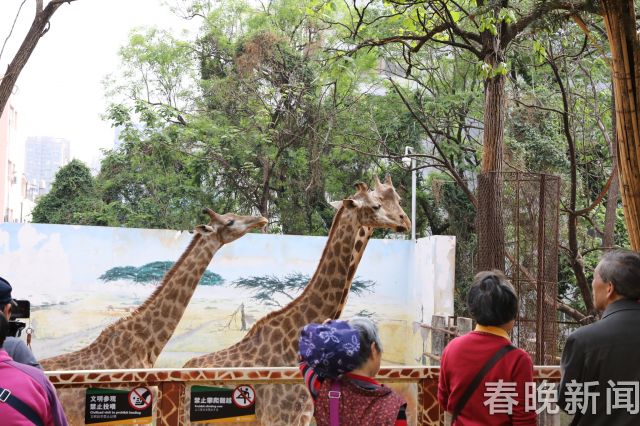 00300933528_ca8fbc90 00300933528_ca8fbc90