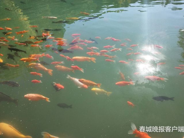 00300933530_9ee32778 00300933530_9ee32778