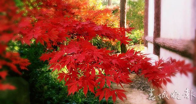 00300933533_016489db 00300933533_016489db