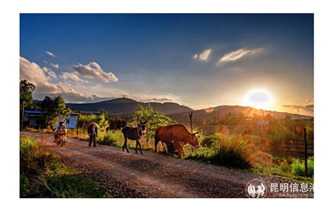 展覽作品1 展覽作品1