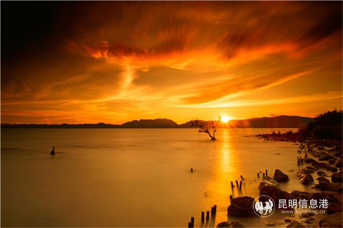 展覽作品2 展覽作品2