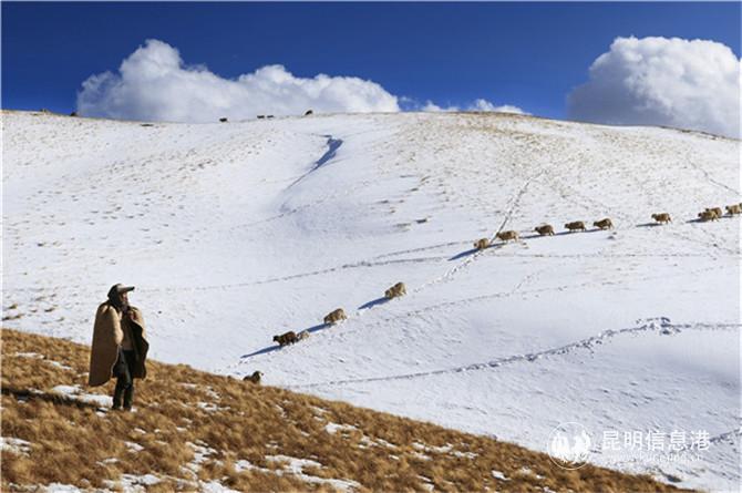 展覽作品4 展覽作品4