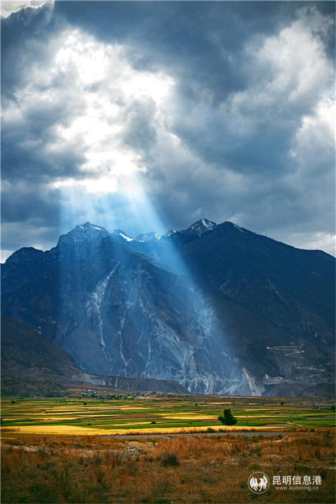 展覽作品5 展覽作品5