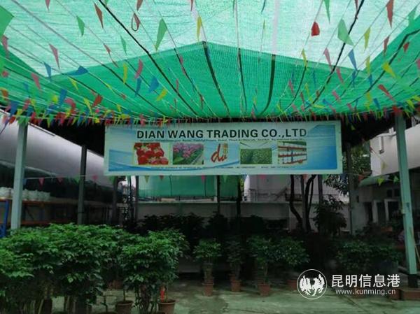 1 昆明滇王花卉有限公司緬甸分公司仰光店。_副本