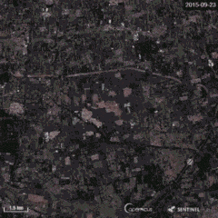 5d8b4576a31099ab43d1a055 5d8b4576a31099ab43d1a055