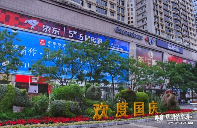 南屏街立體花壇迎國慶 網(wǎng)友“冰楓de那些年”攝