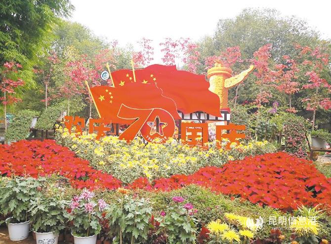 黑龍?zhí)豆珗@的迎國慶菊花造景非常亮眼。