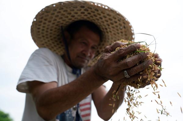 20190926_193425 20190926_193425