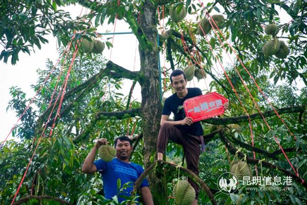 20190926_193429 20190926_193429