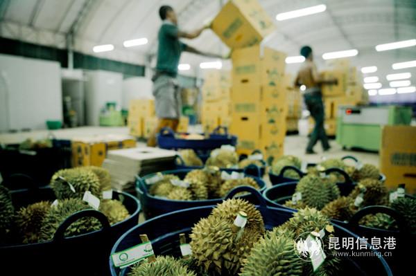 20190926_193433 20190926_193433