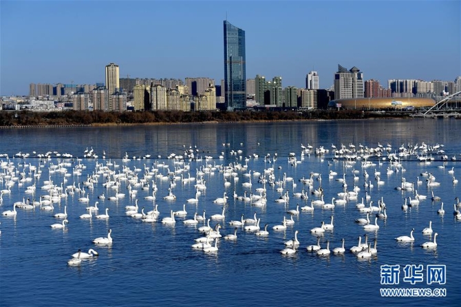 （新華全媒頭條·圖文互動）（14）中國道路越走越寬廣——社會主義中國實踐啟示錄