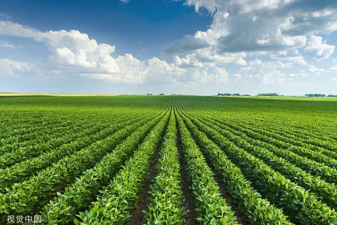 640.webp (9) 640.webp (9)