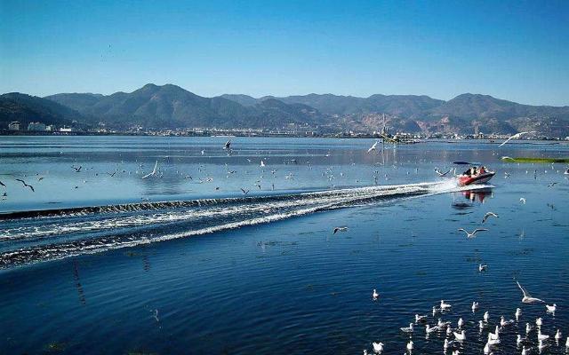 滇池保護(hù)治理  