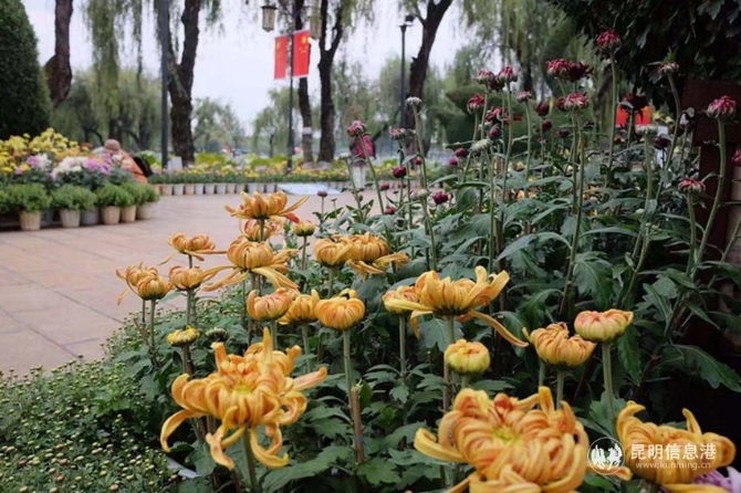 微信圖片_20191008162116_副本 微信圖片_20191008162116_副本