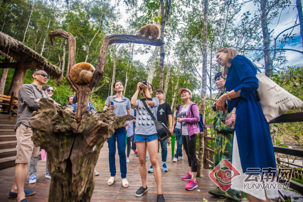 游客在景點內(nèi)拍照留念。云南日報供圖