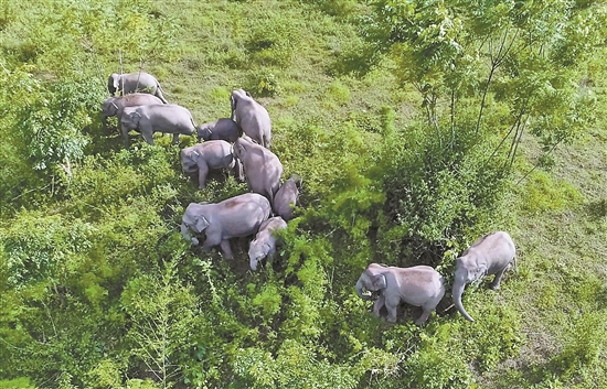 2019100902_res03_attpic_brief