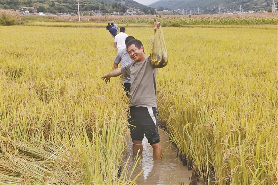 2019100903_res03_attpic_brief