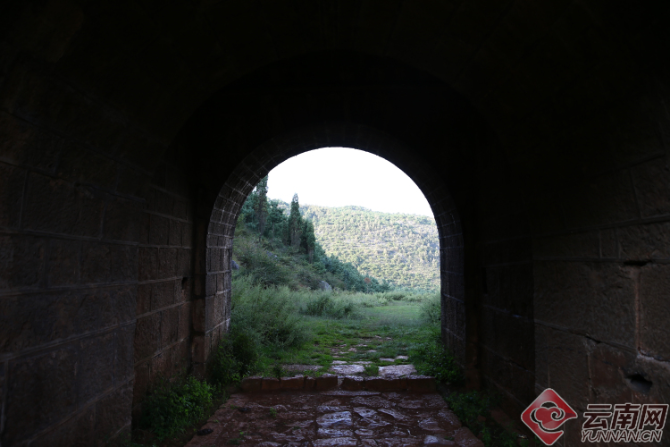 00300966087_253da40e