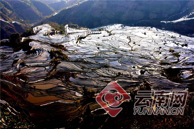 00300964691_6905987b