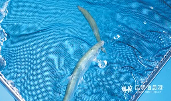 微信圖片_20190920232031